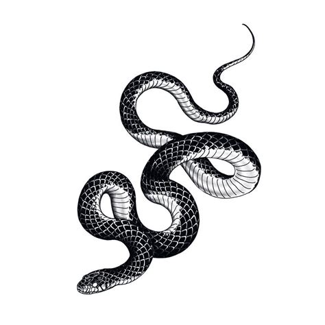 뱀 문신