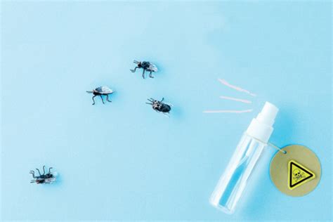 벌레 잡는 살충제가 인체에 미치는 영향 당신의 건강가이드