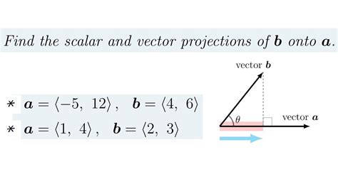 벡터 vector 와 스칼라 scalar 이왕 발 디딘