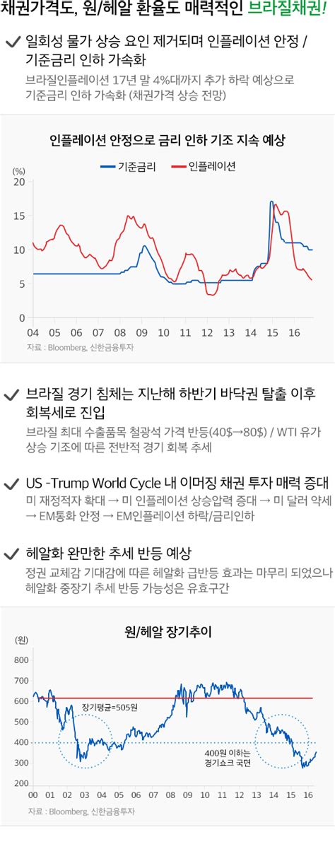 브라질 채권 수익률 환율 -