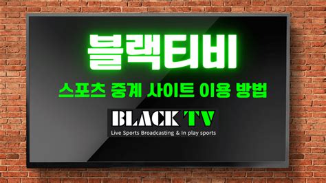 블랙 티비 ㅣ 제조자 주 더블유