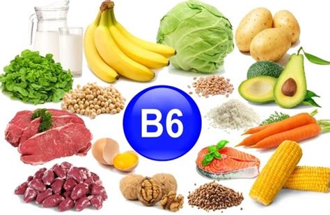 비타민 b6 음식