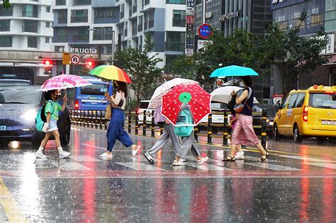 빨간 우산 파란 우산 나무위키 - 파란 우산