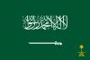 사우디아라비아 국왕 위키백과, 우리 모두의 백과사전