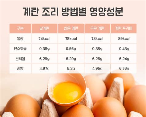 삶은 계란안의 칼로리와 영양정보 - 계란 성분