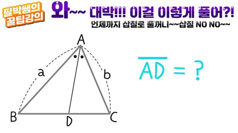 삼각형 이등분선