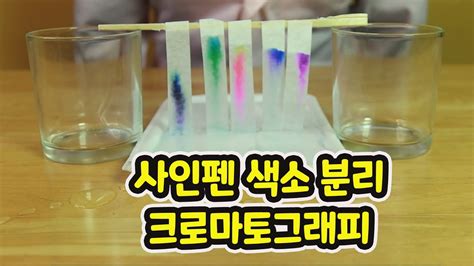 색소 분리 및 흡광 실험 9주차 실험 레포트입니다. 색소 분리 및 흡광