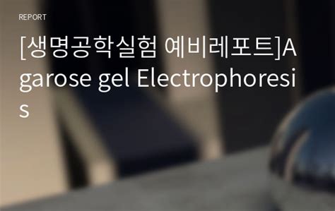 생명공학실험 예비레포트 - agarose gel electrophoresis 실험