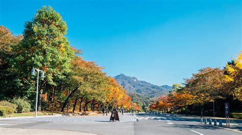 서울대공원 accommodation