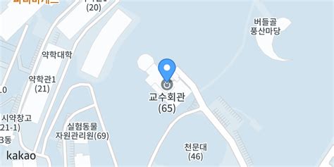 서울대학교 교수회관 카카오맵