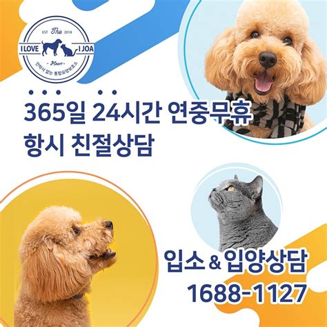 서울 고양이 보호소