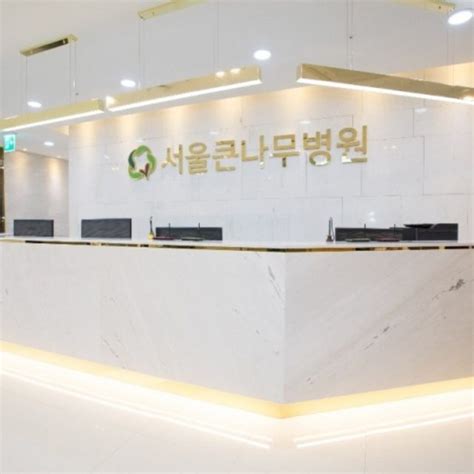 서울 나무 병원