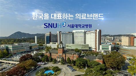 서울 대학교 병원 İrb