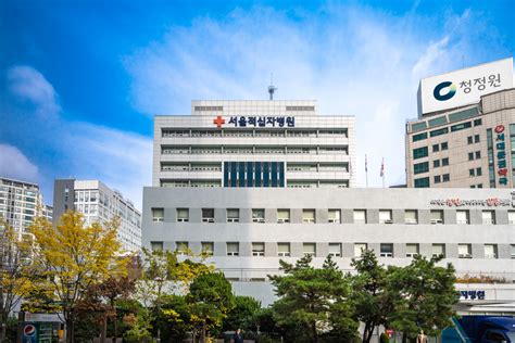 서울 적십자 병원 -
