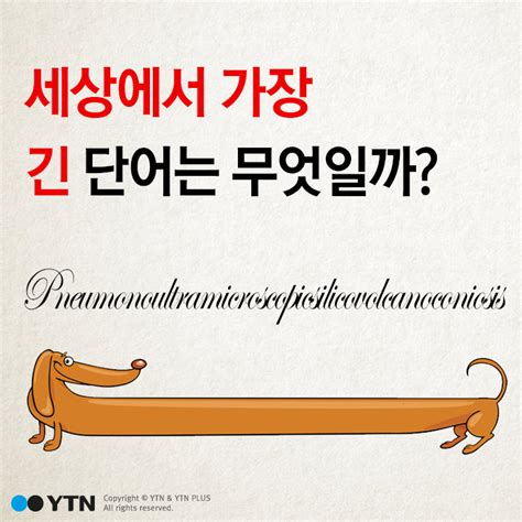 세상 에서 가장 긴 한국 단어