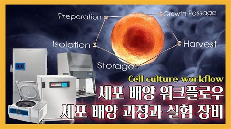 세포 배양 문제해결 - 미생물 배양 실험