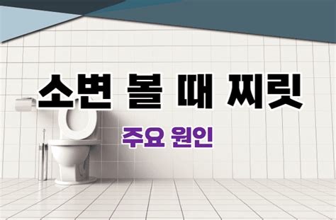 소변볼때 찌릿 원인 5가지 ft. 치료 방법 바른 리뷰 - 찌릿