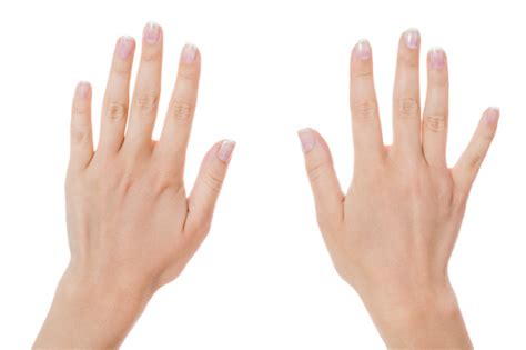 손가락 약지 - 손가락으로 보는 건강 장 질환, 정력, 폐암이