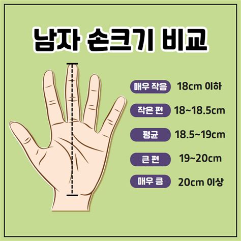 손 크기 평균