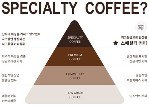스페셜티 커피 기준