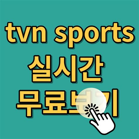 스포츠 실시간 Tv 2023