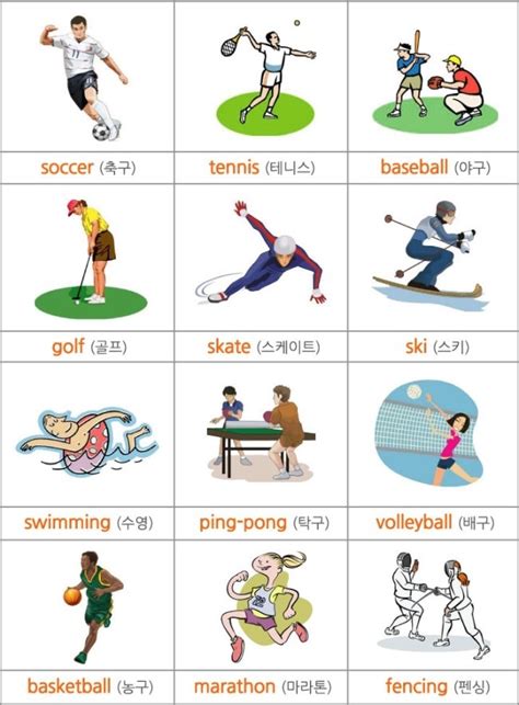 스포츠 종목, 운동 종류 영어로 - 종목 영어 로