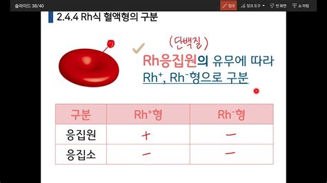 식 혈액형과 Rh식 혈액형의 판정원리와 수혈 관계 by 종락 박 - 응집원