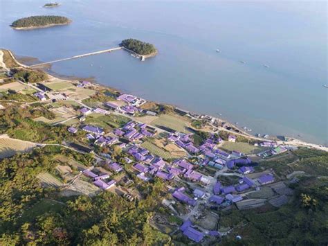 신안 섬 마을 신상