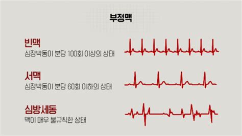 심박수 정상 수치 정상 목표 평균 심박수 심장박동수 최대