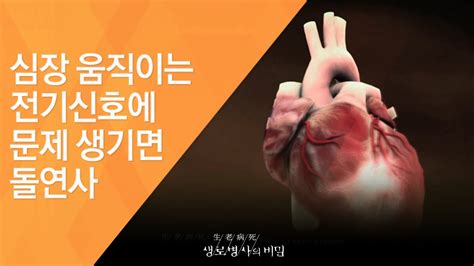심장 압전 - 돌연사 대한심장학회