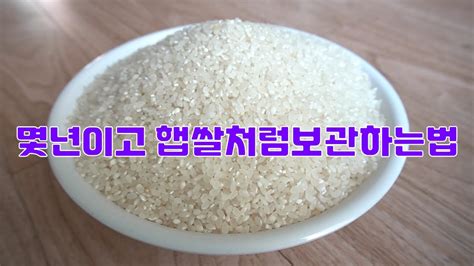 쌀 보관법