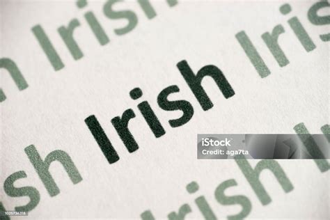 아일랜드 언어