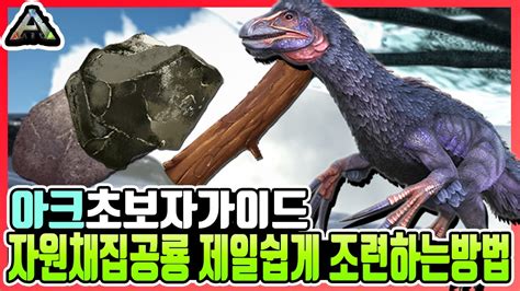 아크-섬유-채집-공룡
