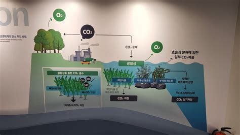 염화플루오린화탄소 나무위키 - 하이드로 카본