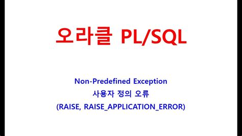 오라클 PL/SQL 예외처리 Exception 종류부터 사용방법 정리>오라클