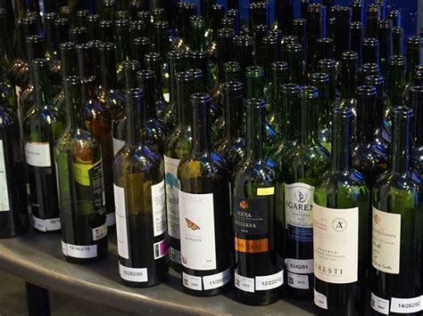 와인 통 - 와인 시음회 행동 요령 와인21닷컴 Wine21>와인
