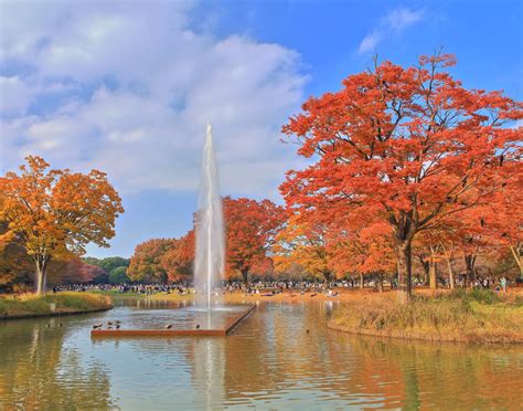 요요기 공원 도쿄에서 가장 큰 공원