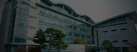 용인 대학교 사이버 캠퍼스
