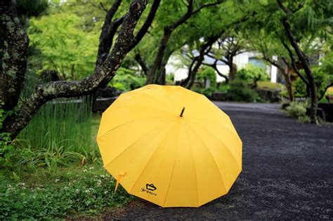우산>노란우산 - 파란 우산