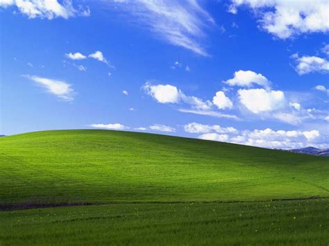 윈도 XP 초원 배경화면의 현재 모습 티스토리 - 초원 배경 화면