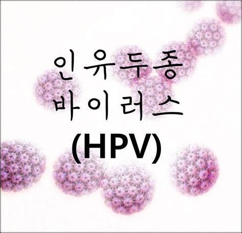인유두종 바이러스 HPV 검사, 비용, 치료 건강한 하루살기