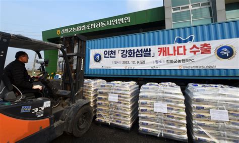 인천 '강화섬 쌀' 20t 캐나다로 수출 경향신문