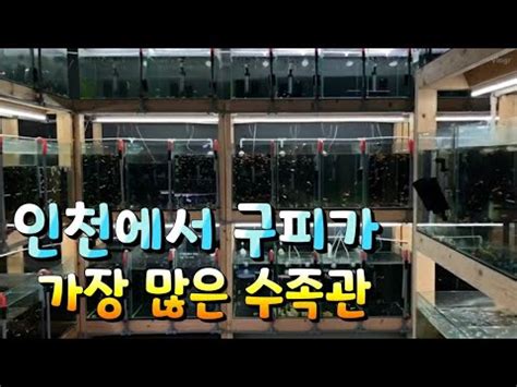 인천 수족관