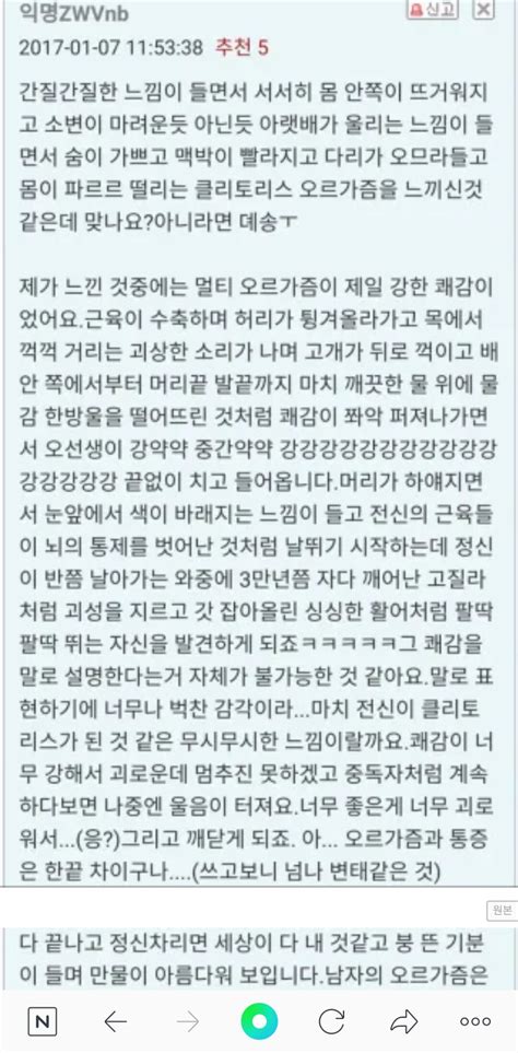 일베-오르가즘