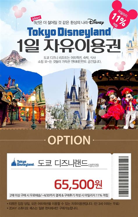 일본 여행 도쿄 디즈니랜드 입장권 티켓 총정리 꿀팁 + 겨울