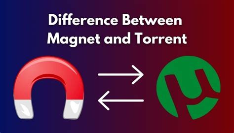 일본 Torrent Magnet