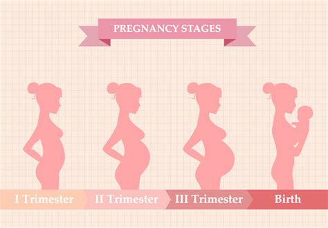 임신 기간 계산