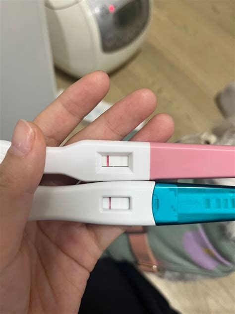 임신 테스트기 두줄