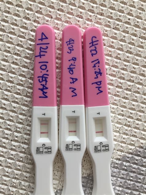 임신 피 검사 수치