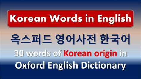 자궁경부에서 영어 한국어 영어 사전